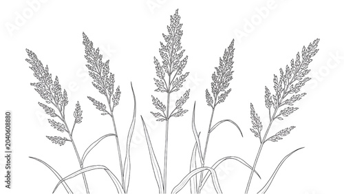 Cuadro en lienzo A 2D CAD Vector illustration of wheat plants swaying gently in a field
