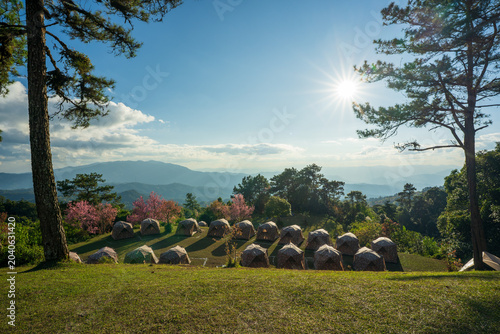 nature camping tent on hill and mountain view on holiday vacation by camp with cherry blossoms blooming or pink sakura and pine tree to sun light at Huai Nam Dang National Park campground in Thailand