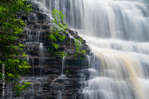 Photos Rock outcropping in front Benton Falls with plants growing and rivulets of water