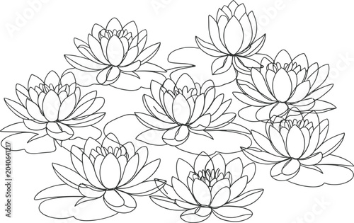 Water Lily Flowers Blooming on Water Lily Pads Outline Illustration