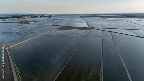 Εκτύπωση καμβά Aerial view of flooded rice fields in Isla Minima, Spain