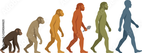 Tableau sur toile Human Evolution Progress Illustration with Primate to Modern Human Development T