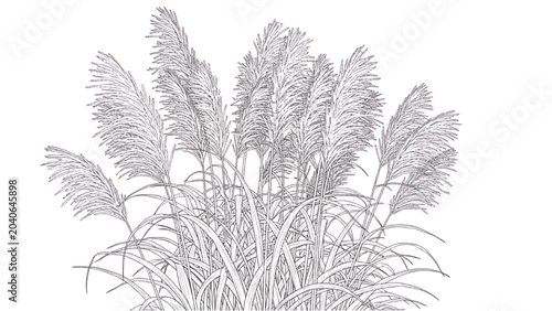 Fotografi 2D CAD Vector illustration of feathery reeds swaying in a serene natural landsca