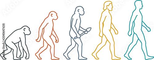 Tableau sur toile Human Evolution Progress Illustration with Primate to Modern Human Transformatio