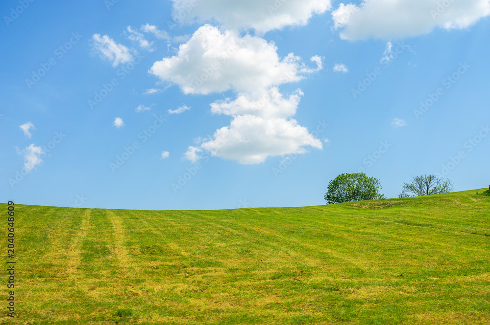 Obraz premium Vast green rolling hills under a bright blue sky with fluffy white clouds