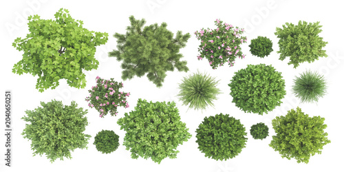 Foto Set of green trees and bushes seen from above for landscape design plans and top