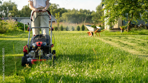 Photography Lush green grass stretches beneath warm sunlight