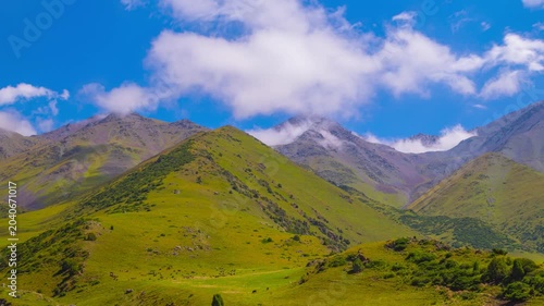 Time-lapse of cows grazing in green mountain slopes of Kyrgyzstan under white clouds flowing above on blue sky.