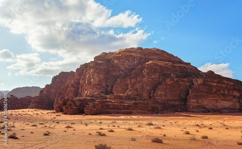 Rock formations in Wadi Rum desert, small shrubs and bushes growing on sand