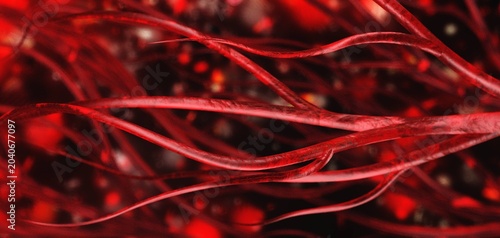 Photos blood vessels, veins and arteries, circulatory system, 3d rendering