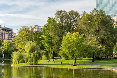 The pond in Boston Public Garden in the morning, Massachusetts, USA