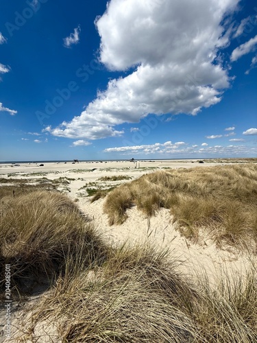 the beautiful beach of Sankt Peter Ording in summer season