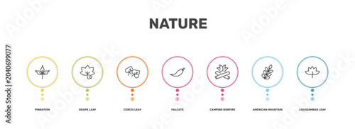 Obraz na płótnie nature icon set with pinnation, grape leaf, american mountain ash, liquidambar l