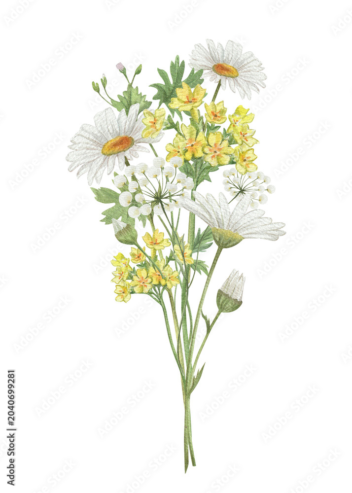 Fototapeta premium Watercolor floral bouquet. Hand painted wildflowers bouquet