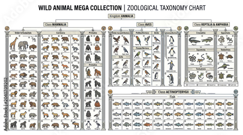 Canvastavla Zoological Taxonomy Chart: Wild Animal Mega Collection