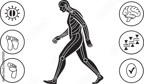 Physiotherapy and orthopedic concept with human body illustration
