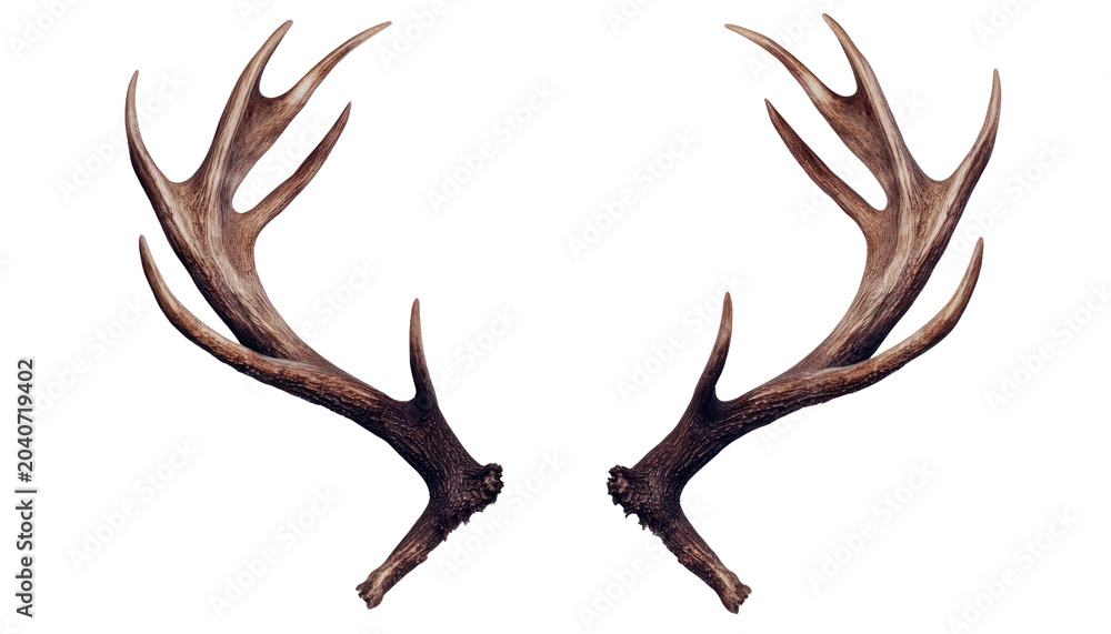 Obraz premium Reindeer horns deer antlers isolated on transparent background png