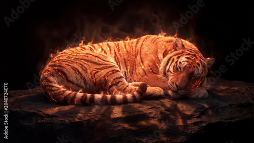 Fluffy Orange Tiger Curled Up Sleeping in Warm Amber Glowing Light