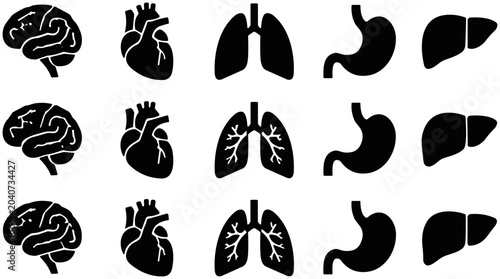 Cuadro en lienzo Set of black human internal organ icons including brain heart lungs stomach and liver