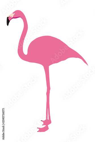Minimalist pink flamingo vector illustration featuring an exotic tropical bird stylized in a clean flat  aesthetic design. Isolated on a transparent background for summer wildlife graphics.