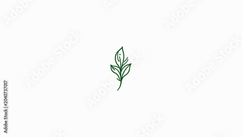 Fotografie Small green leafy plant sprout growing.