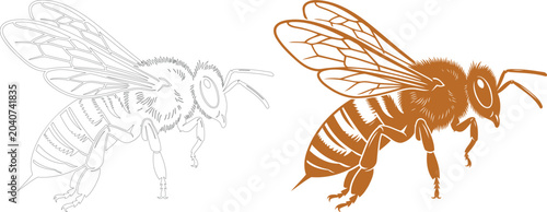 Cuadro en lienzo Bee illustration with line art and color variation silhouette
