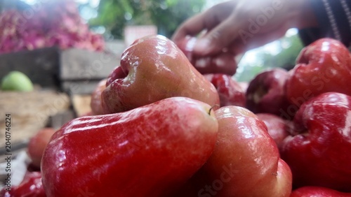 Photo of fresh red water apple fruit
