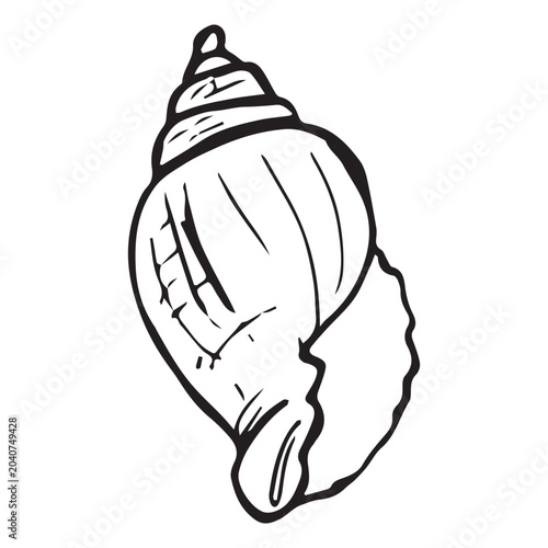 Принти на полотні Hand drawn whelk shell, black ink sketch