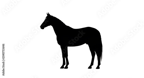 Black silhouette of a horse standing on a white background, animal