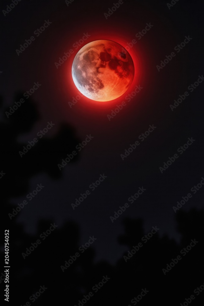 Fototapeta premium Red moon glows in dark night sky. Lunar eclipse shows red halo around moon. Silhouetted trees frame celestial event. Dark sky background with subtle moon craters visible.