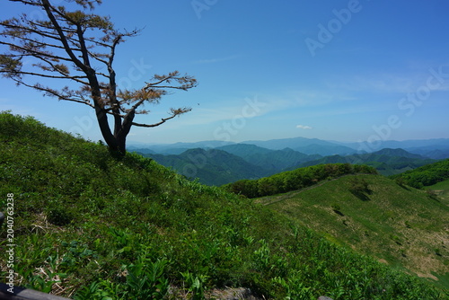 Scenery at Mindungsan Mountain in Korea