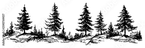Photos Coniferous pine and fir forest trees in hilly mountain landscape sketch vector i