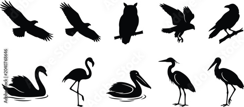 Fotografie WebCollection of wild bird black silhouettes including eagle owl flamingo pelica
