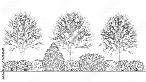 Fotografi 2D CAD Vector illustration of trees and bushes in a landscape