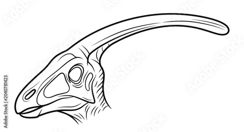 Fotografía Parasaurolophus dinosaur head sketch illustration.
