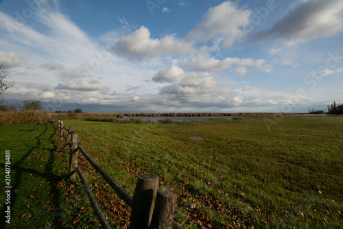 Neusiedlersee Rust