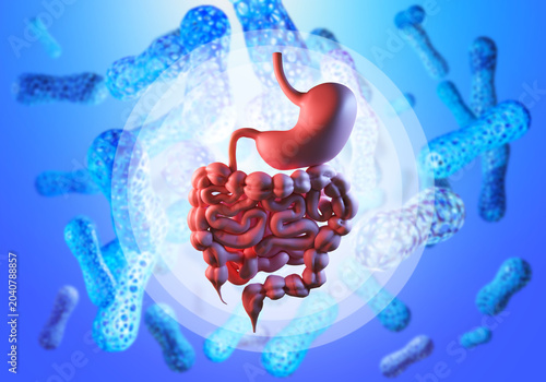 Фотография Healthcare, digestive system research