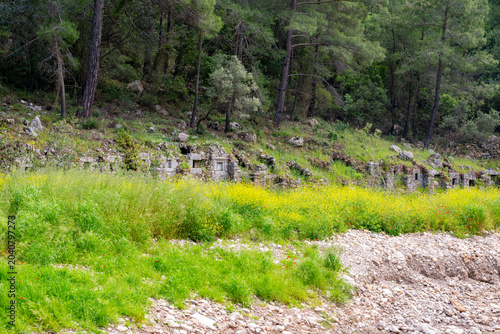 Konstfotografi Olympos is an ancient Lycian harbor city set in a lush river valley in Antalya, Turkey