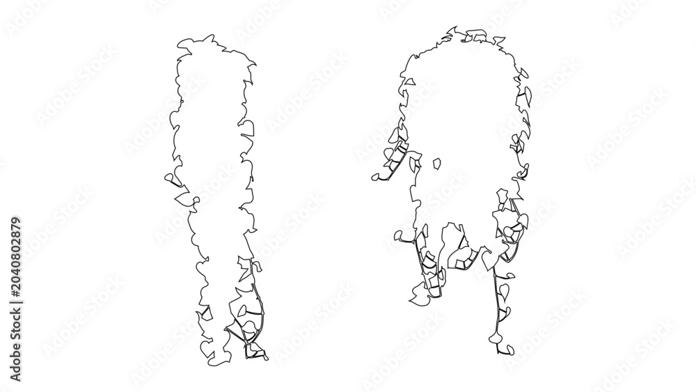 Obraz premium Set of climbing ivy plant top view sketch icons for architectural floor plan renderings.