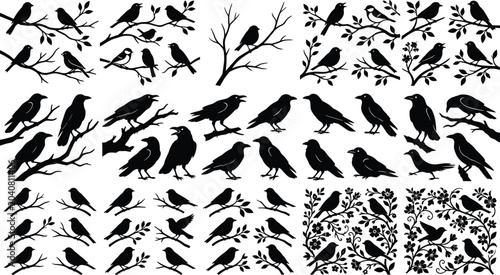 Foto Black bird silhouette vector mega collection featuring perched songbirds crows r