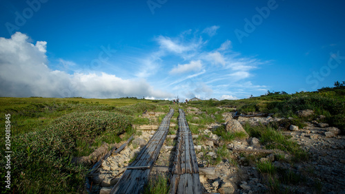 Fotografía Wooden boardwalk through an alpine meadow toward a mountain hut.