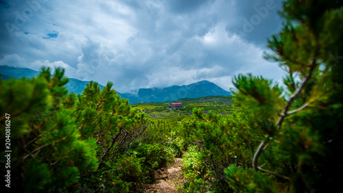 Foto Mountain hut framed through pine branches under stormy clouds Japan