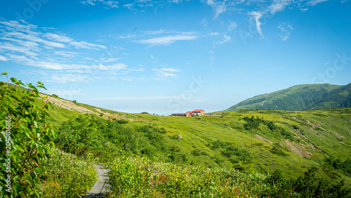 Quadro su tela Wooden boardwalk through alpine shrubs toward a mountain hut Japan