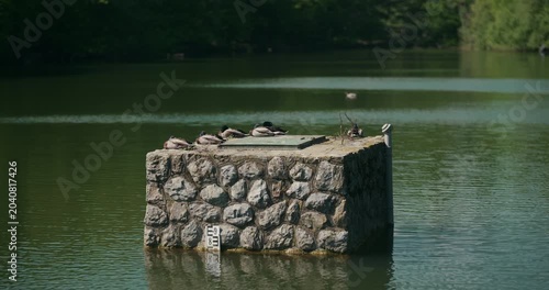 Ducks resting on a stone structure in the lake at Maksimir Park on a sunny day during Labor Day holiday.