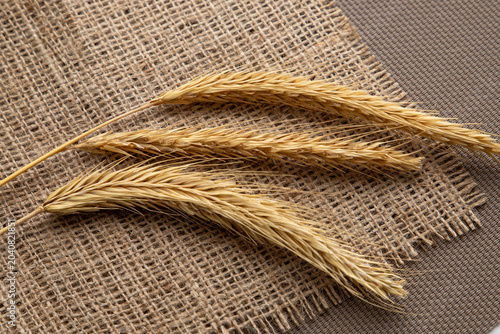 Obraz na płótnie Three dry wheat ears on a burlap napkin close up texture