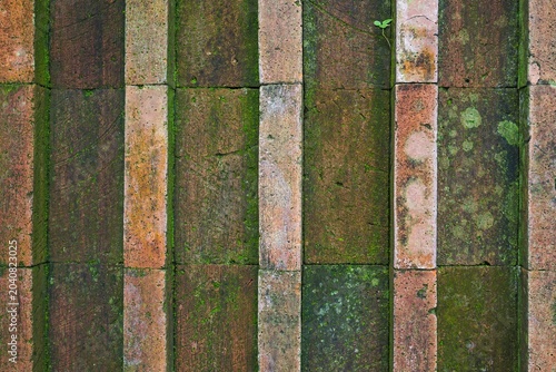 Mossy weathered brick paving blocks texture background