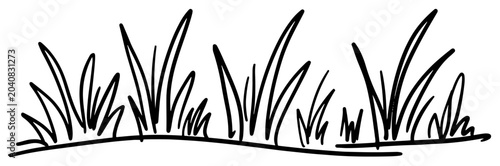 Fotografía Long horizontal border of meadow grass blades in simple hand drawn line art styl