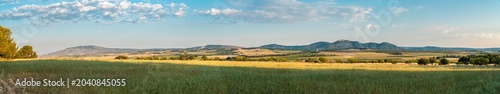 Spring landscape with a field of fresh green grass and mountains on background, at sunset. in Comunidad Valenciana, Spain.