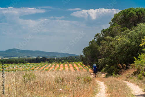 Woman hiking on a hot summer day. 