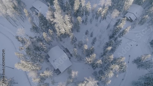 Drone panning upward over winter forest